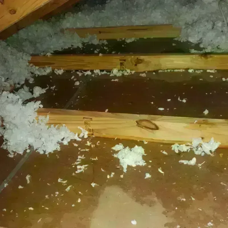 Attic Water Damage in Southgate, FL